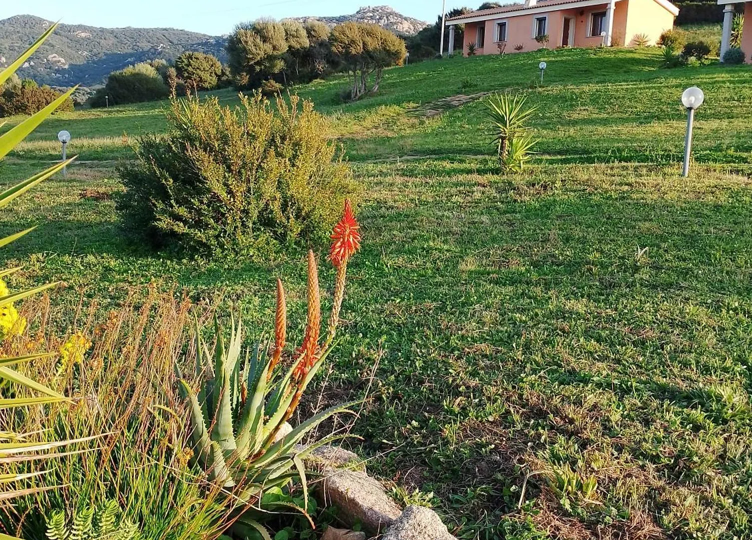 Agriturismo Gli Olivastri -Appartamento Bel Vedere Con Piscina ,Solarium E Vista Mare,Climatizzatore ,Wifi Aglientu 0*,  Italien
